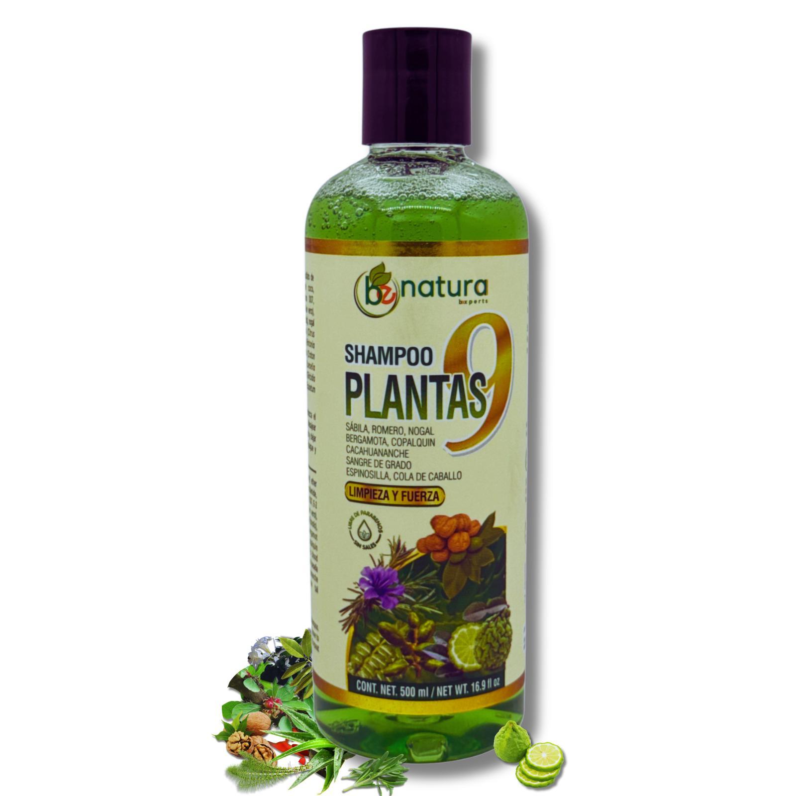 VIRAL 9-Plant Herbal Shampoo 16.9 fl oz–W/Cacahuananche, Sangre de Grado,Bergamota,Aloe(Sabila),Rosemary & More-Natural Botanical Formula– Paraben & Sodium-Free–Supports Strong, Clean & Healthy-Looking Hair Conditioner Haircare