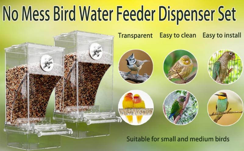 Automatic No Mess Bird Feeder –  Transparent with perch. For small & medium birds (parakeet, cockatiel, lovebird, canary, finch). Easter Gift