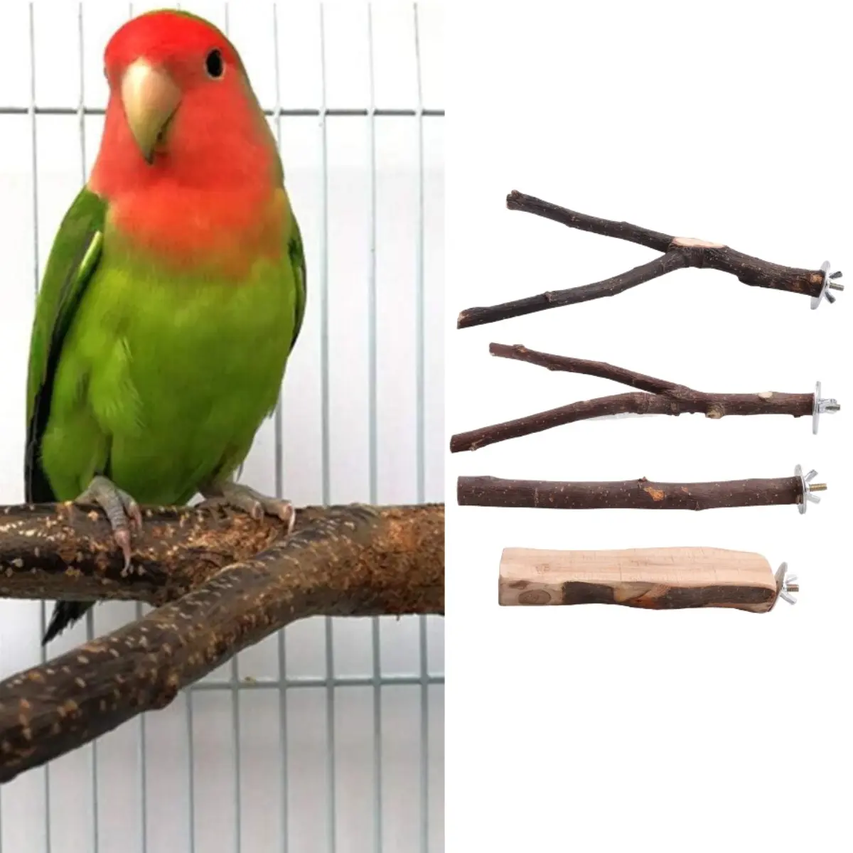4-Pack Wooden Bird Perch Set - Branch Shape Bird Cage Hanging Swing, Fork Toys & Hanging Platform Hammock for Small Parakeets, Cockatiels, Set Pack