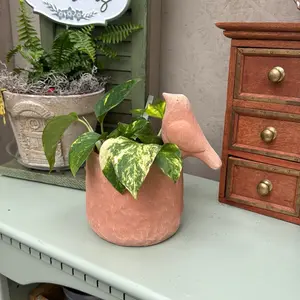 Whimsical Little Bird Greenhouse Planter