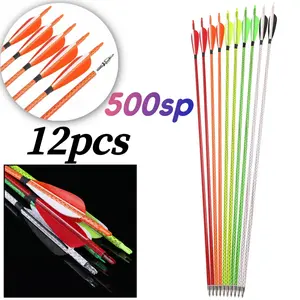 12pcs Mixed Carbon Arrows, Lightweight & Durable, ID 6.2mm & OD 7.8mm, Equipped with Arrowheads, Suitable for Indoor & Outdoor Archery, 500 Spine, Universal for Beginners & Experienced Archers, Outdoor Sporting Goods