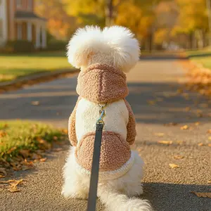 Pet Clothes Autumn Winter New Warm Fleece Korean Style Sweatshirt Warm Color Cold-Resistant Lamb Fleece Traction Sweatshirt