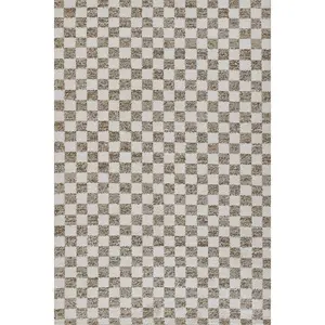 Kaia 1 Checkered Beige Shag Rug