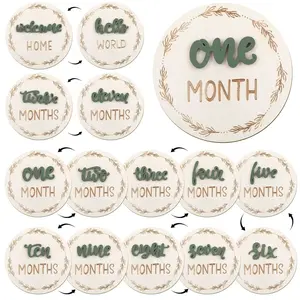 Monthly Milestone Cards Sign, 3D  Milestone Signs  Growth Cards Double Sided Milestone Wooden Circles for  Boy Girls 1-12 Months  Milestone Pictures