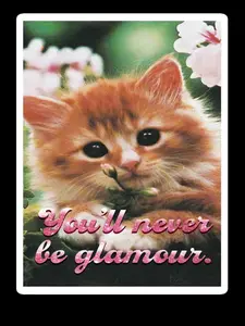 Shangela- Rupaul's Drag Race Quote Vinyl Laptop Sticker - "You'll never be glamour" sticker Decor Decorative