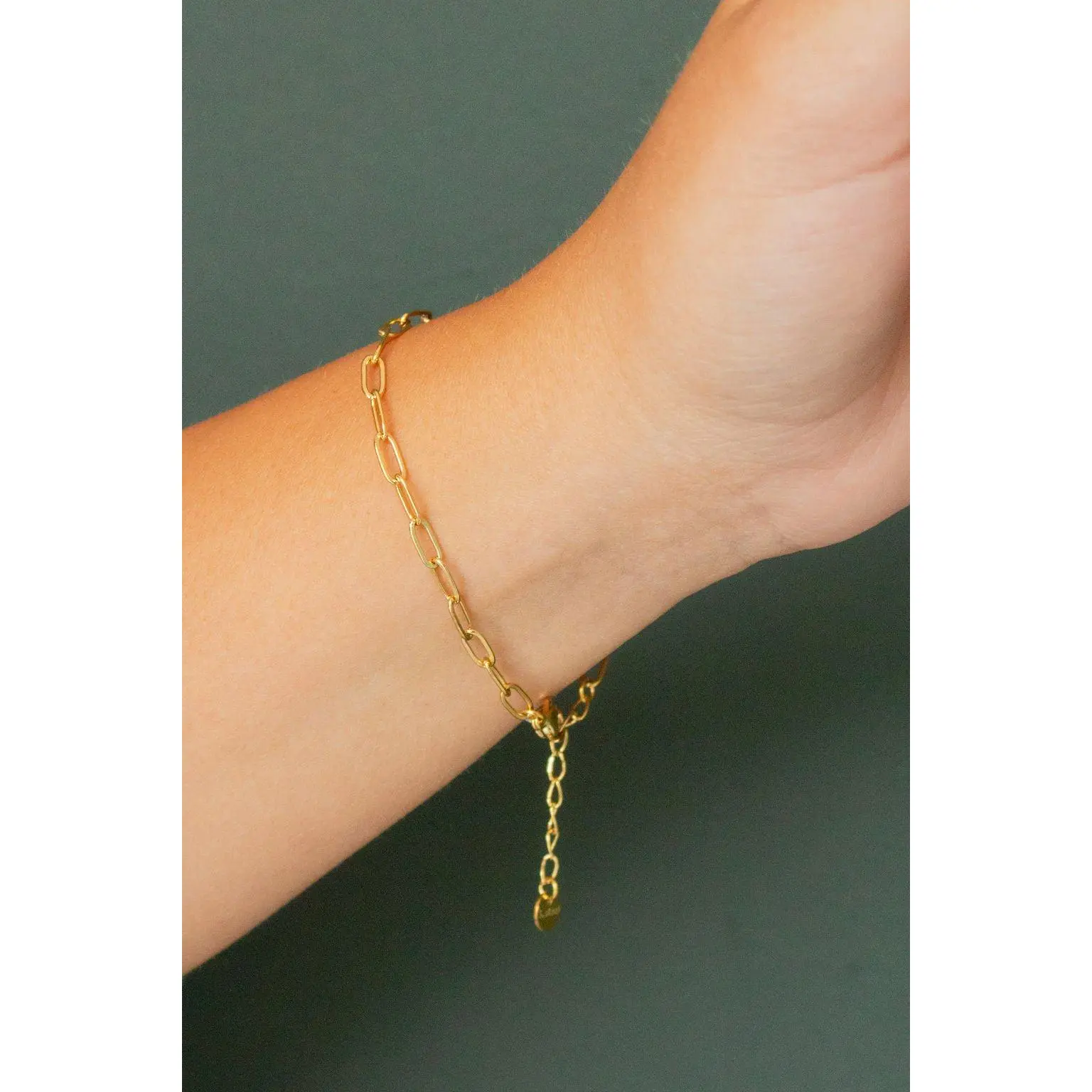 Paperclip Chain Bracelet Paperclip Chain Bracelet
