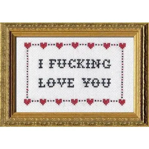 I F*cking Love You Cross Stitch Kit