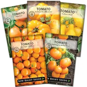 Yellow and Orange Tomato Seed Collection for Planting - Brandywine, Jubilee, Kellogg’s Breakfast, Yellow Pear & Cherry - Non-GMO Heirloom Varieties to Plant a Home Vegetable Garden