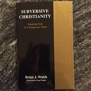 USED-Subversive Christianity: Imaging God in a Dangerous Time by Brian J. Walsh (Paperback)