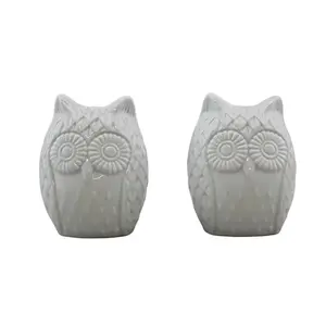 Home Collection Owl Salt and Pepper Shaker Set White