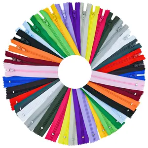 20 Pcs Nylon Coil Zippers Sewing Zippers for Tailor Sewing in 20 Assorted Colors Colorful Crafts Bulk Zipper Supplies Mixed Color Invisible Zipper for Bags Garment Craft DIY Accessories (12 Inches)