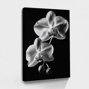1pc 08x12x0.8inch Wood Framed Black and White Abstract Orchid Wall Art, Minimalist Monochromatic Botanical Flower Poster, Home Decor Gift for Room Decoration