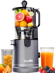 Cold Press Juicer,5.8" Wide Feed Chute Juice Extractor Machine with 300W,Slow Masticating Juicer for Whole Vegetables & Fruits,High Juice Yield,Easy to Clean,Grey