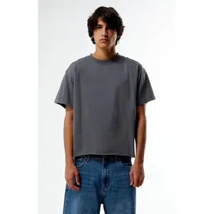 Pacsun Men's Premium Cropped T-Shirt