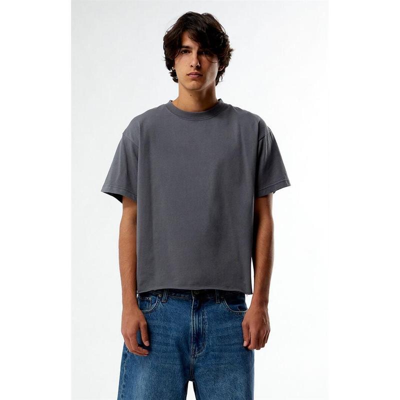Pacsun Men's Premium Cropped T-Shirt