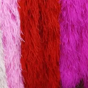 Ostrich Feather Boas (2 Yards)