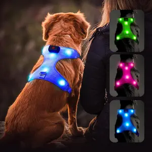 Flashseen LED Dog Harness,Lighted up USB Rechargeable Pet Harness,Illuminated Reflective Glowing Dog Vest Adjustable Soft Padded No-Pull Suit for Small,Medium,Large Dogs (Blue, M) Yuansen