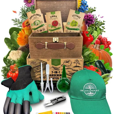 75 Herb & Vegetable Seeds Variety Pack Garden Seed Starter Kit Over 47,380 Non-GMO Heirloom Seeds for Planting Vegetables and Herbs Gardening Supplies Survival Kit with Tools and Storage Box