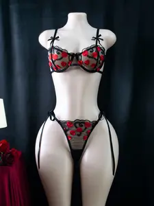 Women's Bridal Embroidered Lace Lingerie Set Underwear, Heart Print & Lace Design, Two-Piece Push-Up Bra + Thong, All-Season Wear, Perfect for Valentine's Day and Parties