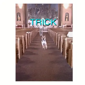 [1pc Alex G Poster] 1pc Alex G Trick Poster Album Cover less Canvas Wall Art,