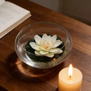 Transparent Glass Water Culture Container Dish, Round Wide Mouth for Hyacinth Moneywort Lotus Bowl Lily, Office Plant Decor, Round Glass Vase