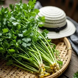 300 Coriander Seeds – Grow Fresh, Flavorful Cilantro at Home