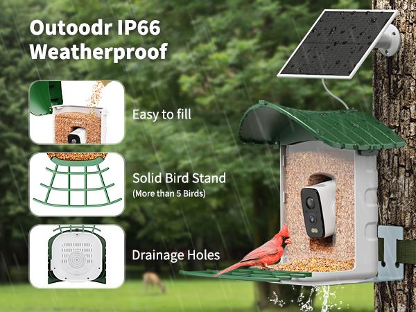 4G LTE Cellular Camera with Bird Feed, 1 Year Trial AI Identify HD Bird Watching Camera, 4 DIY Add-ons, Bird House with Solar Panel for Outdoor, 7800mAh Battery, Suitable for Bird Lover（4G DATA REFILL Required）