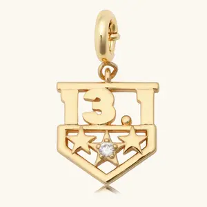 13.1 Banner Charm
