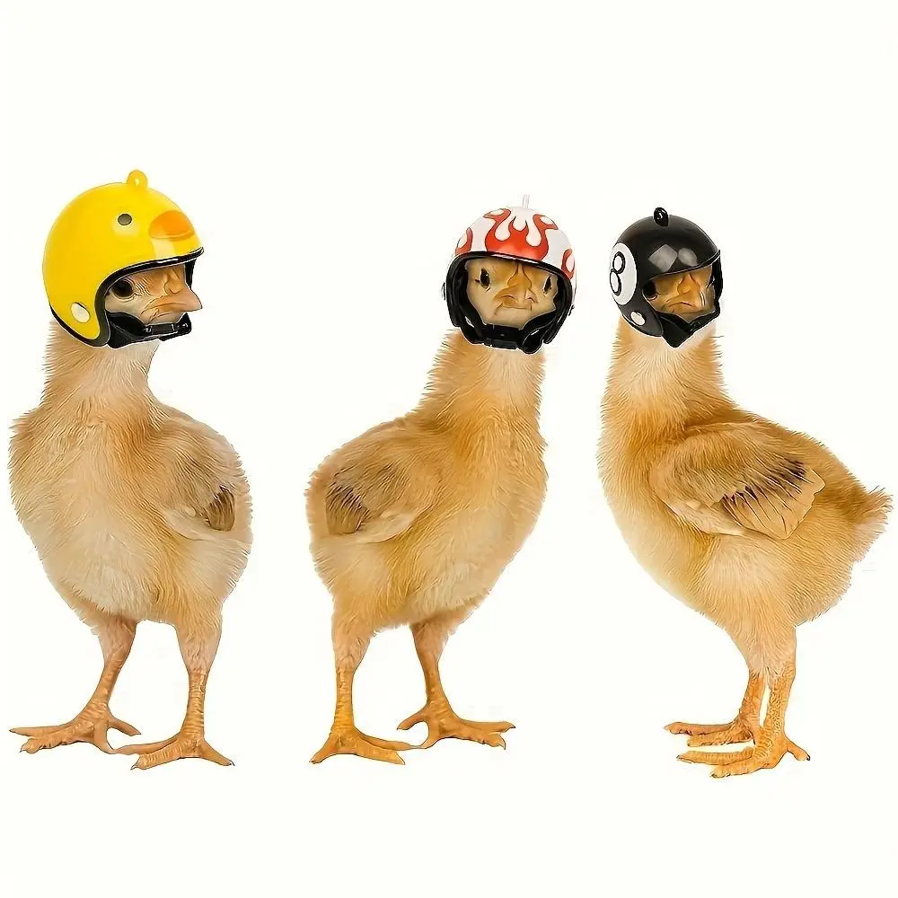 Rainproof Chicken Helmet Hat, Perfect Pet Supplies Essential Protection Gear for Feathers Friends, Safety Cap for Chickens and Parrots, Fun Design Cute Headwear, Versatile Use, Perfect Fit