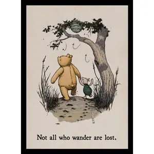 Not All Who Wander Sleeves