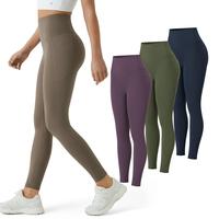 Carbon+Deep Woodland Green+Night's Purple