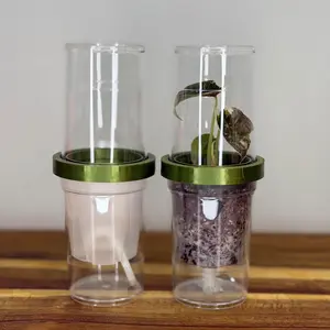 Self-Watering Tissue Culture Kit (10 Pack)