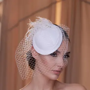 Elegant Birdcage Veil Adorned with Feathers