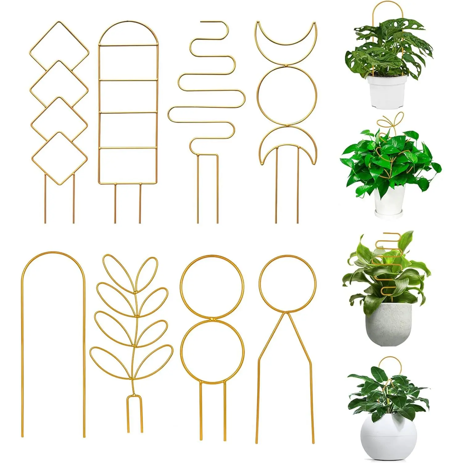8 Packs  Metal Wire Trellis for Potted , Climbing , Indoor Houseplant Lover, Hoya, Pothos, Flower, Monstera