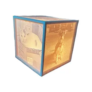 Photo Cube - 3D printed with 4 photos - light not included