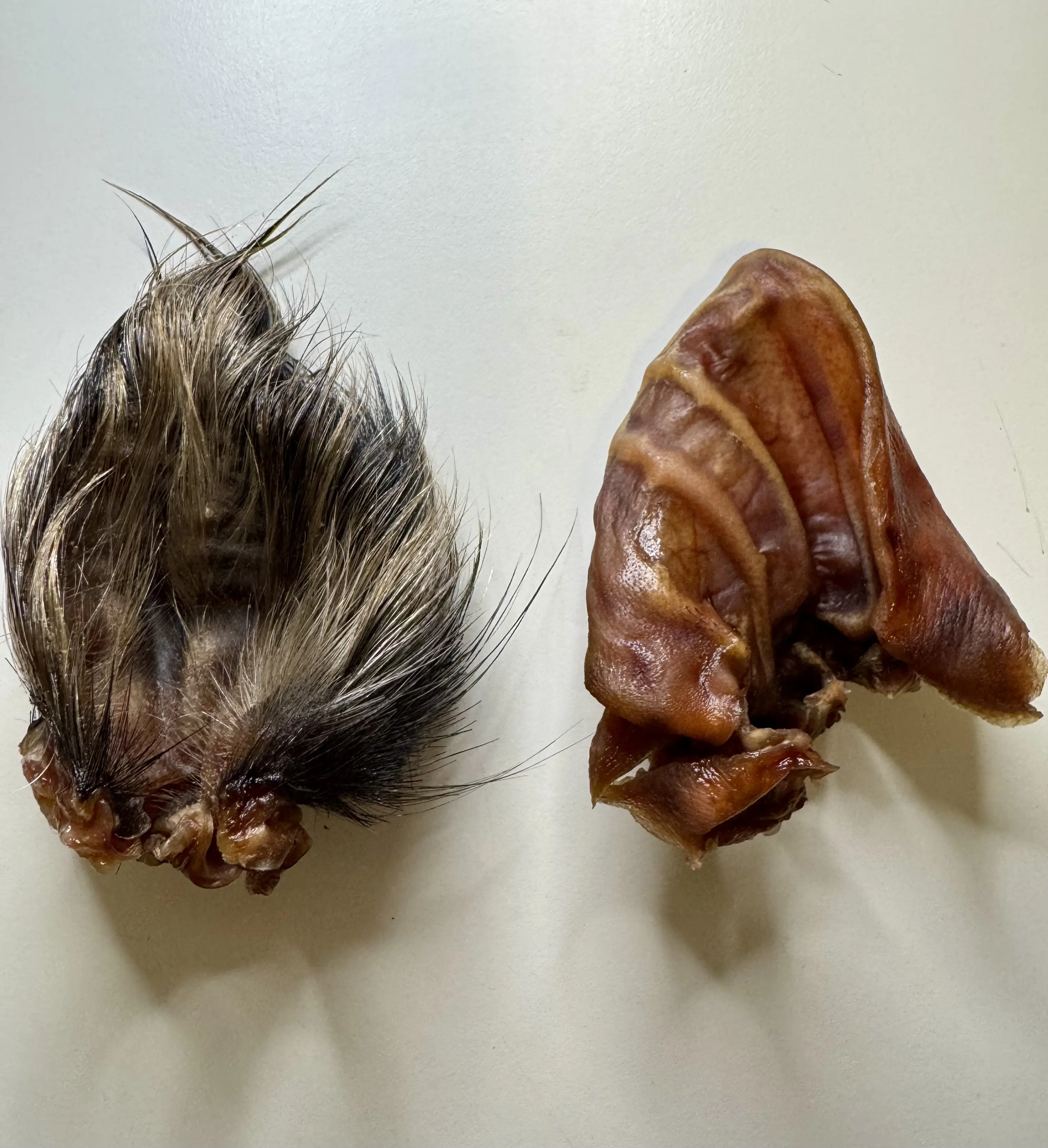 Wild Boar Ears (1 Pack)
