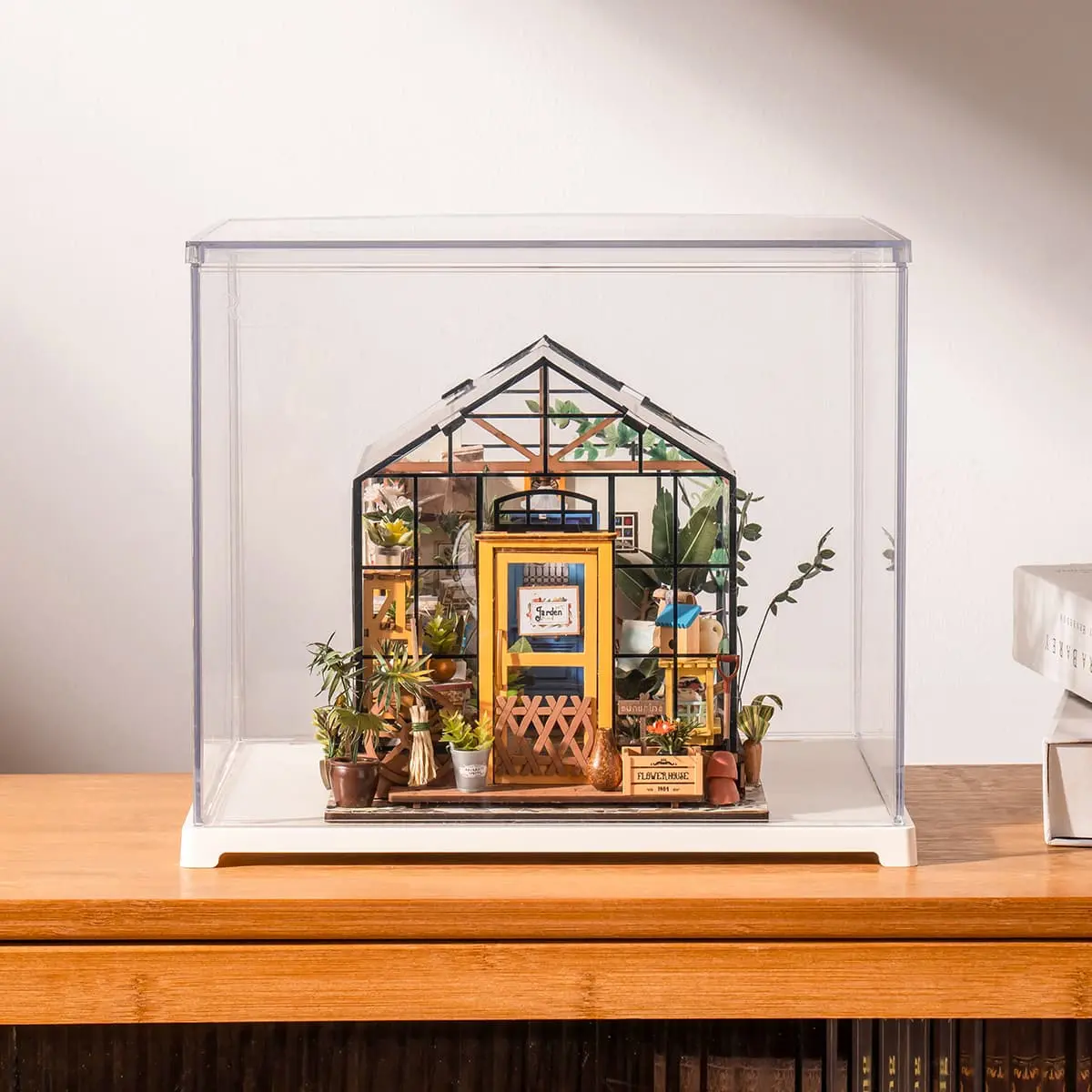 House with Display Box
