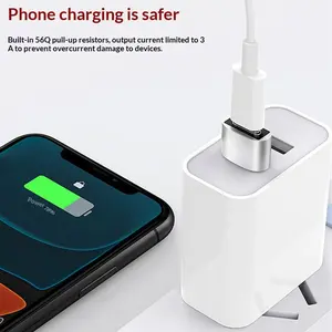 Type-C Female to USB 2.0 Aluminum OTG Adapter, OTG Functionality, Phone Wireless Mouse Charging Data Converter Interface, Model Xinghao 0985, Compact Size