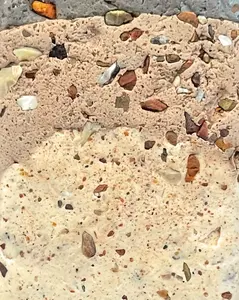 petrified wood infused clay