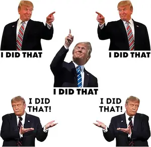 100PCS Funny “I Did That” Meme Sticker Pack – 2” Vinyl Decals, 5 Mixed Designs for Car, Laptop & Water Bottle, Humor Gift Idea