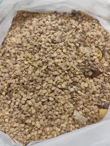 Anchia seed (Solanum macrocarpon, Gboma, African eggplant) 100 seeds