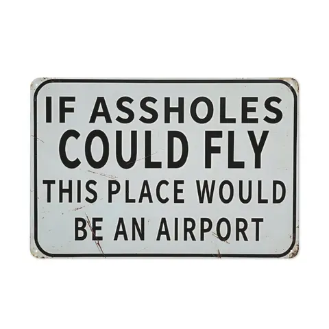 "If Aholes Could Fly, This Place Would Be an Airport" Vintage Metal Sign |   12x8 Inch Rustic Wall Art for Garage, Home Bar & Man Cave |   Retro 2D Flat Tin Decor with Pre-Drilled Holes, Easy to Hang |   Sarcastic Gag Gift for Humor Lovers**