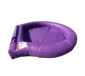Purple Pool Attachment for Dual Slides Combo