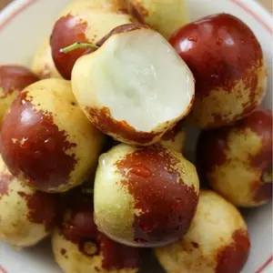 Rock Sugar Jujube Seeds – Highly sweet and juicy, easy to grow, and cold-resistant fruit tree seeds, suitable for backyard planting/family orchards. Produce healthy, fresh jujubes with a high germination rate.