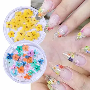 2 Boxes Nail Art Dried Flower Set, Colorful Petals, Japanese Style Nail Decorations, Natural Real Flowers for DIY Manicure, Handmade Craft Decoration