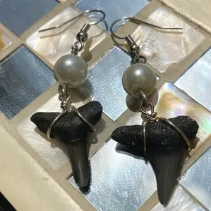 SW Florida Shark Tooth Earrings from Gulf Coast Beaches - Elegant Design with Black Shark Tooth and White Bead Accents