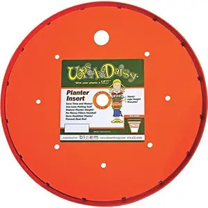 Bloem Ups-A-Daisy Flower Planter Insert — Reusable Pot Insert for Healthier Plants, Orange