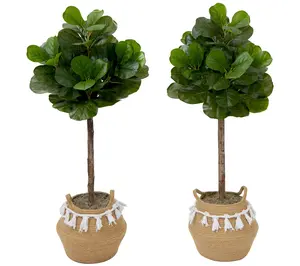Nearly Natural S/(2) 4-ft Fiddle Leaf Fig TreeIY KIT
