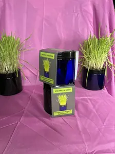 two Cat Jars with organic cat grass