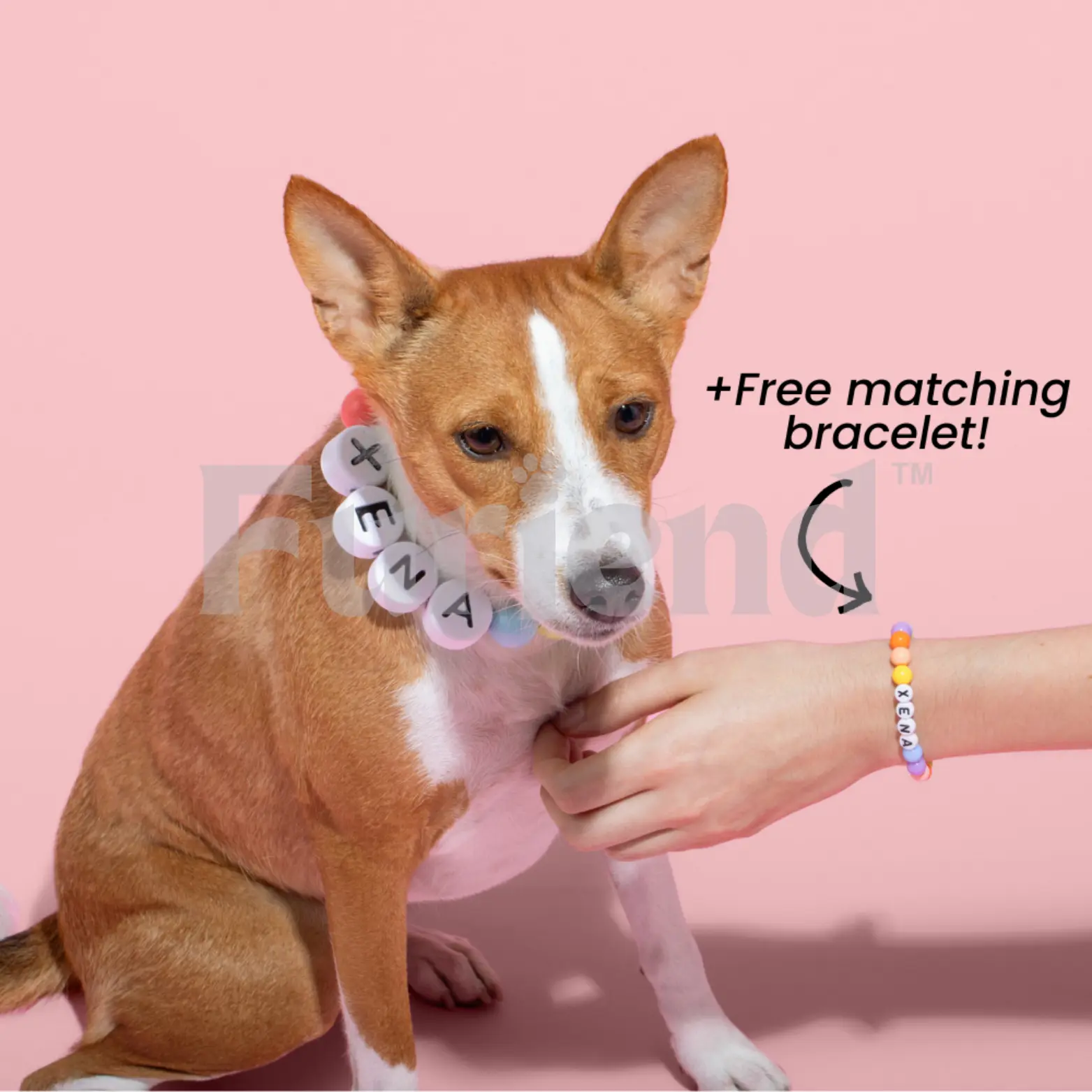 Furiend™ BFF Dog Collar with Free Matching Bracelet Personalized Friendship Design Comfortable & Safe 10mm Acrylic Beads Customizable Name
